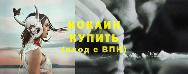 ПСИЛОЦИБИНОВЫЕ ГРИБЫ Корсаков