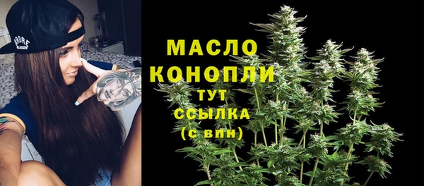 гидра Краснослободск