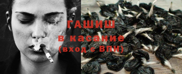 гидра Краснослободск