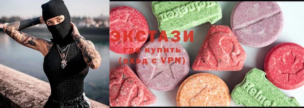 гидра Краснослободск