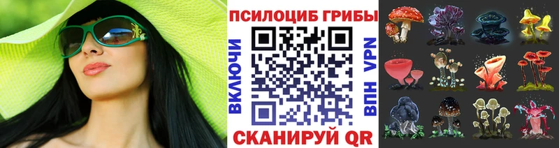 Галлюциногенные грибы Psilocybine cubensis  Купить где  Геленджик 